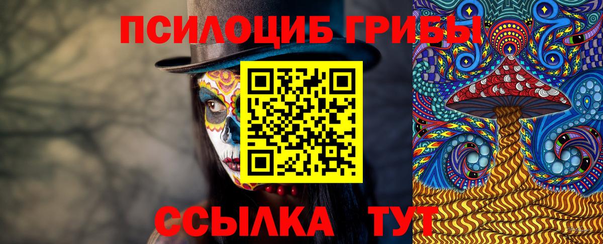 Галлюциногенные грибы Psilocybine cubensis  Псилоцибиновые грибы ЛСД  Вход с VPN  Арсеньев 
